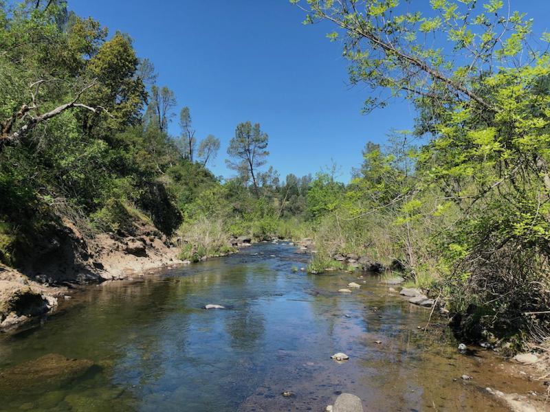 Millville Bear Creek Falls Lodge On 67 Acres Creek & Waterfalls מראה חיצוני תמונה